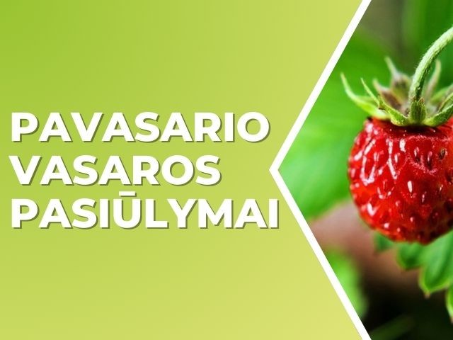 Pavasario-vasaros pasiūlymai 2025